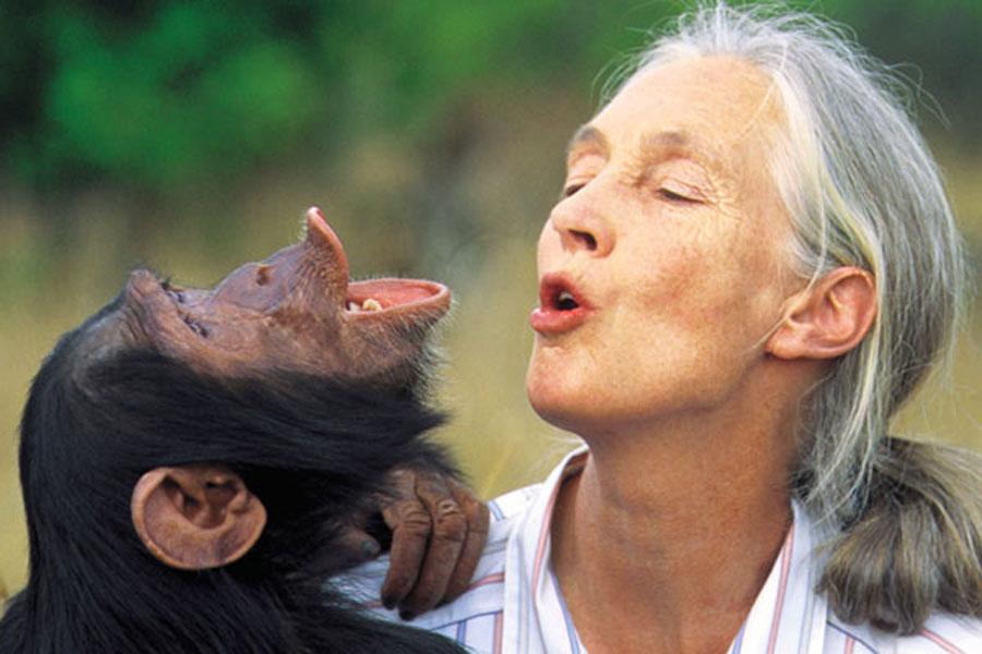 Jane Goodall Jane Goodall