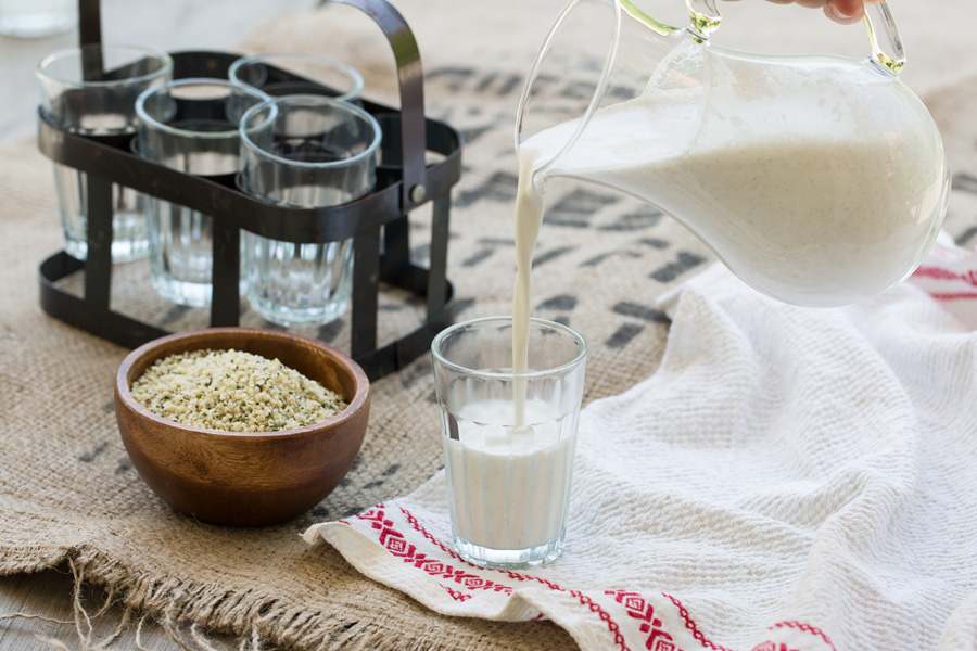 Hanfmilch, ganz einfach selbstgemacht Hanfmilch, ganz einfach selbstgemacht