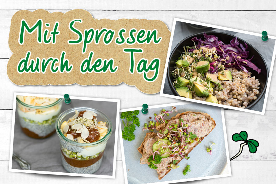 Mit Sprossen durch den Tag Mit Sprossen durch den Tag