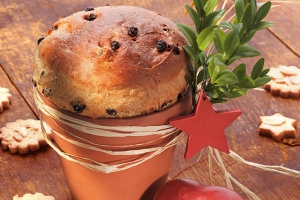 Panettone