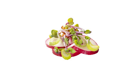 Radieschensprossen Radieschensprossen